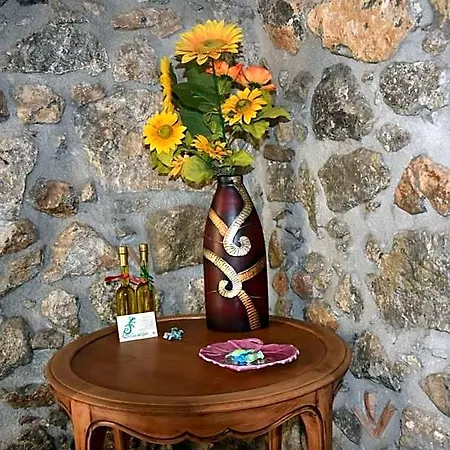 La Casa Del Geko