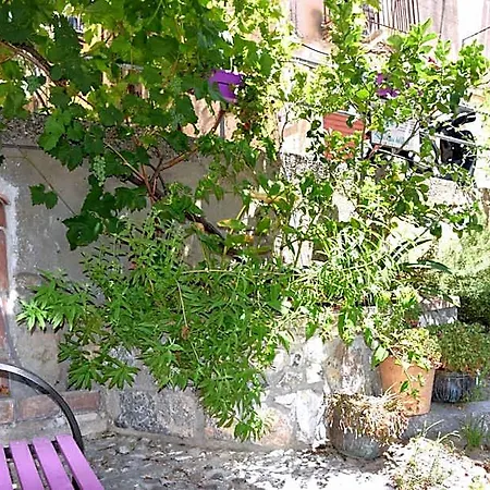 Bed & Breakfast La Casa Del Geko